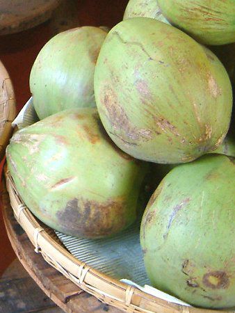 �R�R�i�b�c�icoconut�j