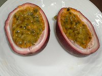 �p�b�V�����t���[�c