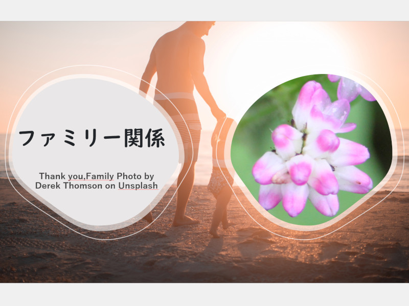�t�@�~���[�֌W