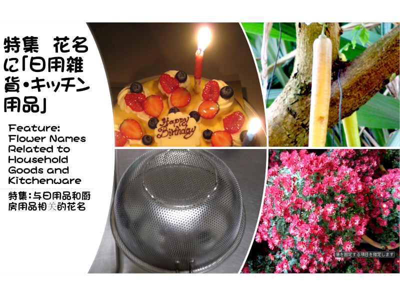 �i���p�j�G�݁E�L�b�`���p�i