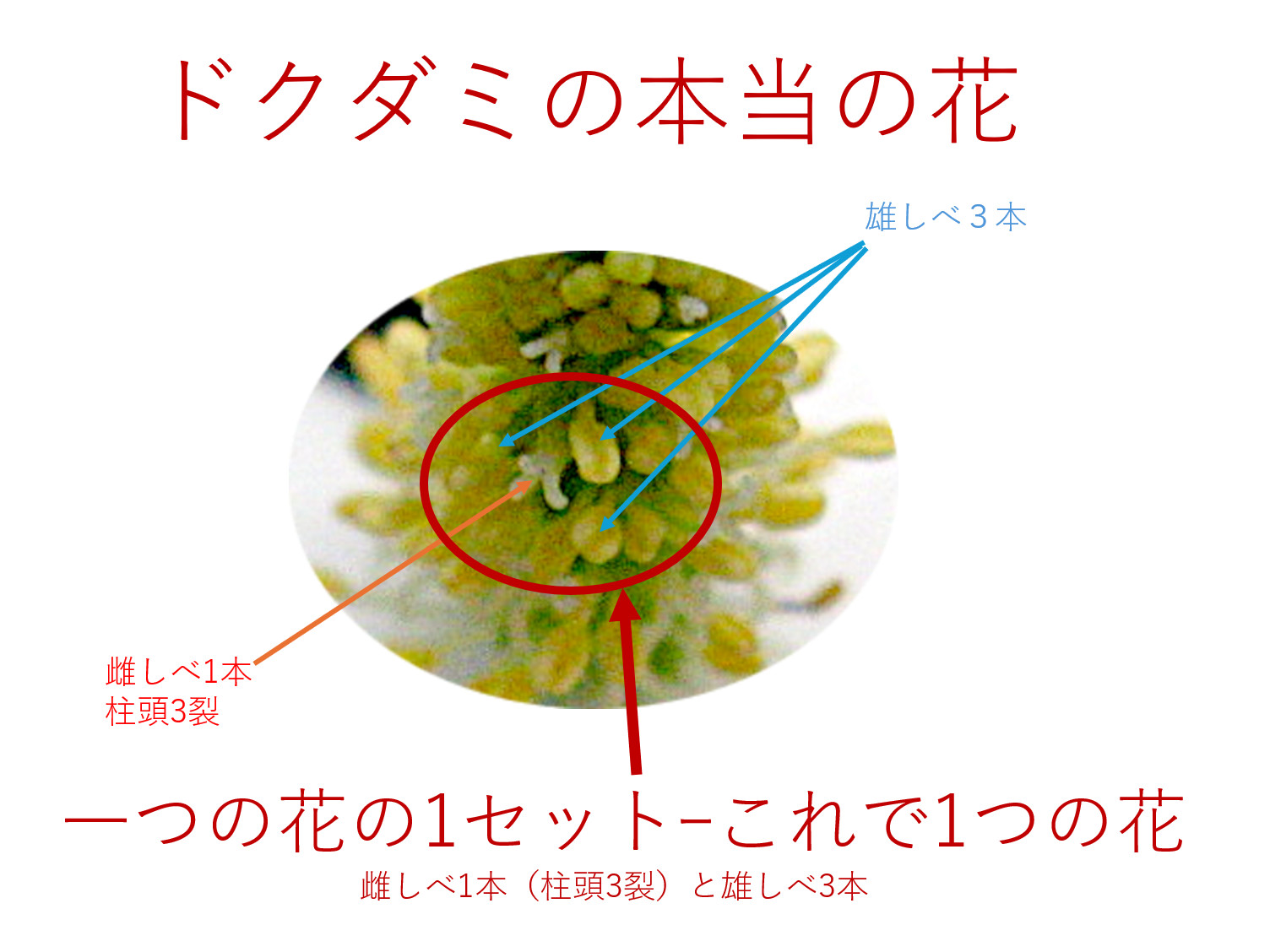 �h�N�_�~