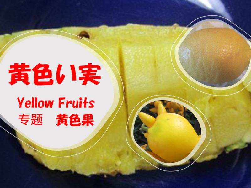 ���F����