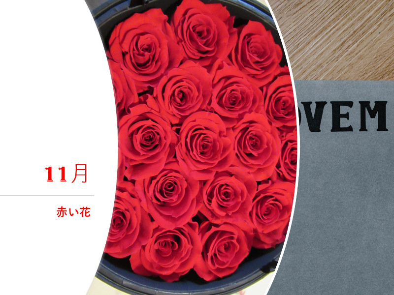11���̐Ԃ���