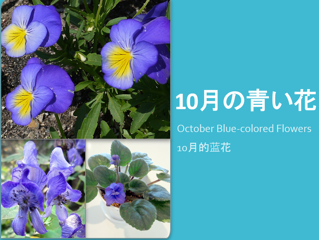 10���̐���