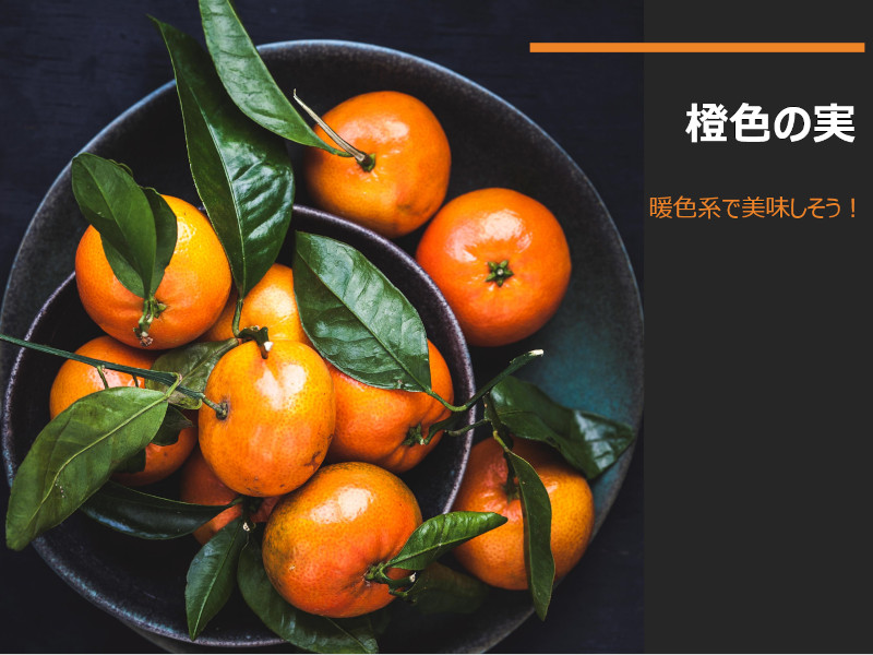 �t���[�c�}��