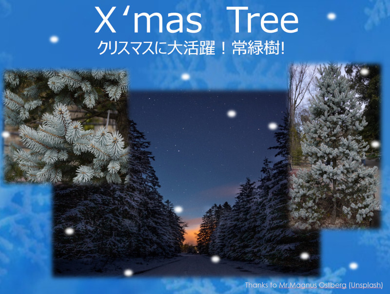 �N���X�}�X�c���[