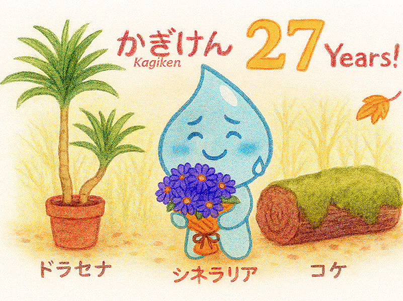 Aqua-chan visits Kagiken