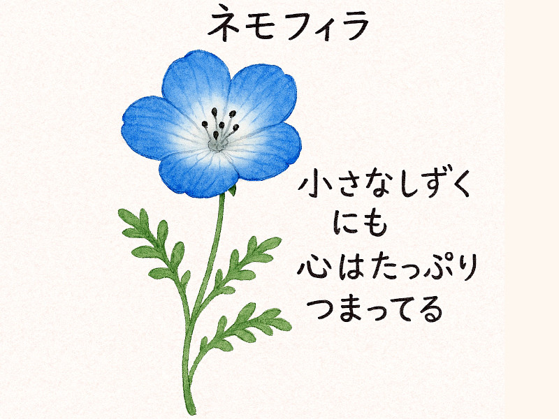 3���ɍ炢�Ă����