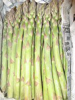 �A�X�p���K�X�iAsparagus officinalis�j