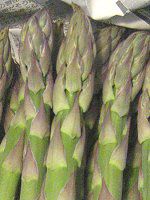 �A�X�p���K�X�iAsparagus�j
