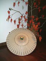 �C�C�M���i�ыˁj���S�̐�����