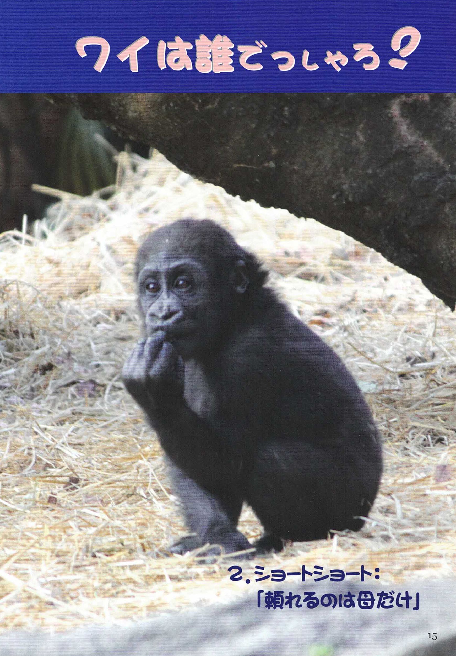 �S���� Gorilla�j�b���C�N