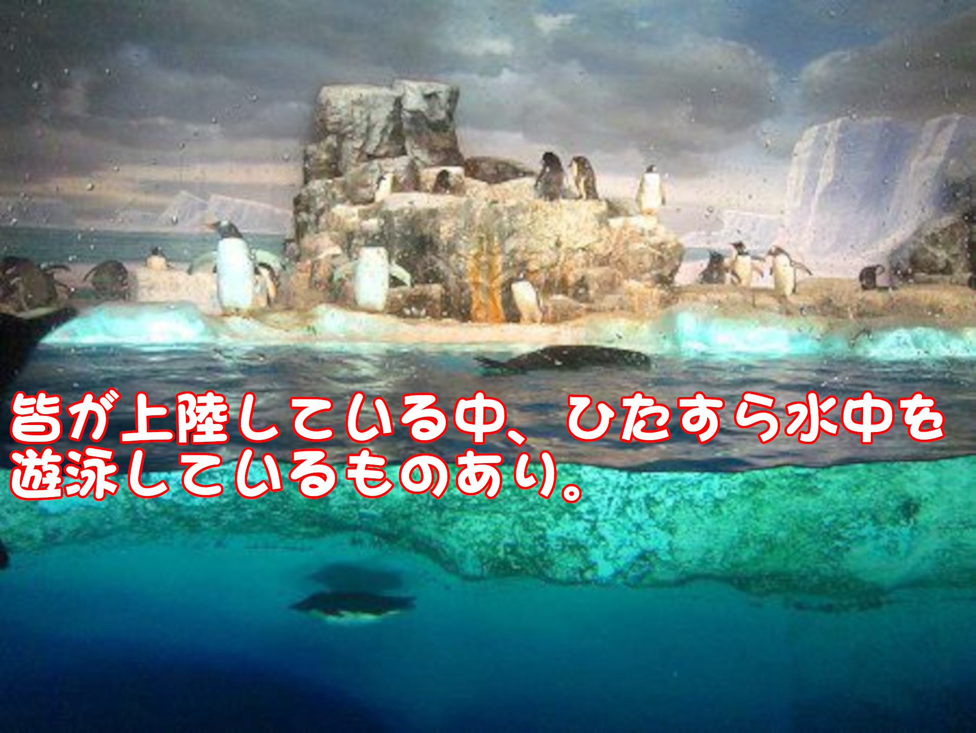 �R�E�e�C�y���M��