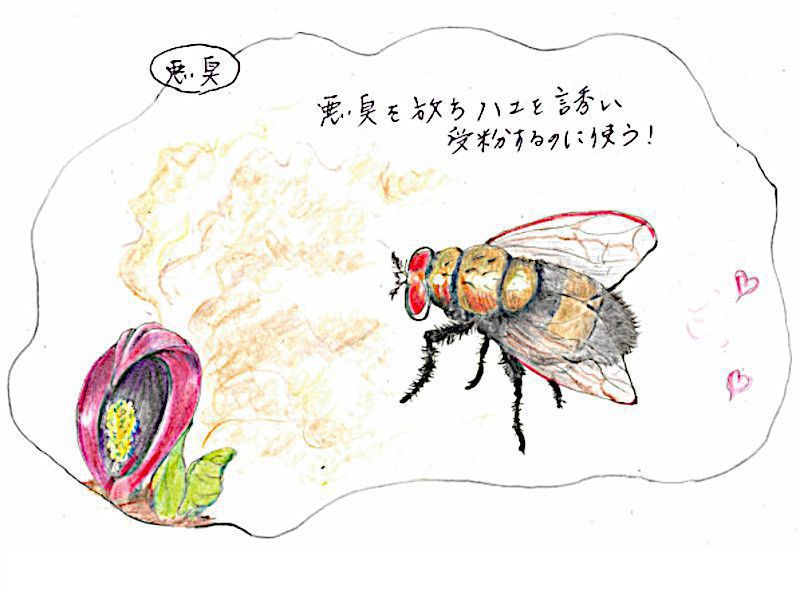 �n�G�i墁j