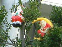 Xmas